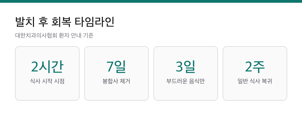 사랑니 발치 후 식사 7일 가이드|당일은 2시간 뒤 죽부터 시작합니다 1 사랑니 발치 후 식사 시작 2시간, 부드러운 음식 3일, 봉합사 제거 7일, 일반 식사 복귀 2주를 정리한 요약 카드