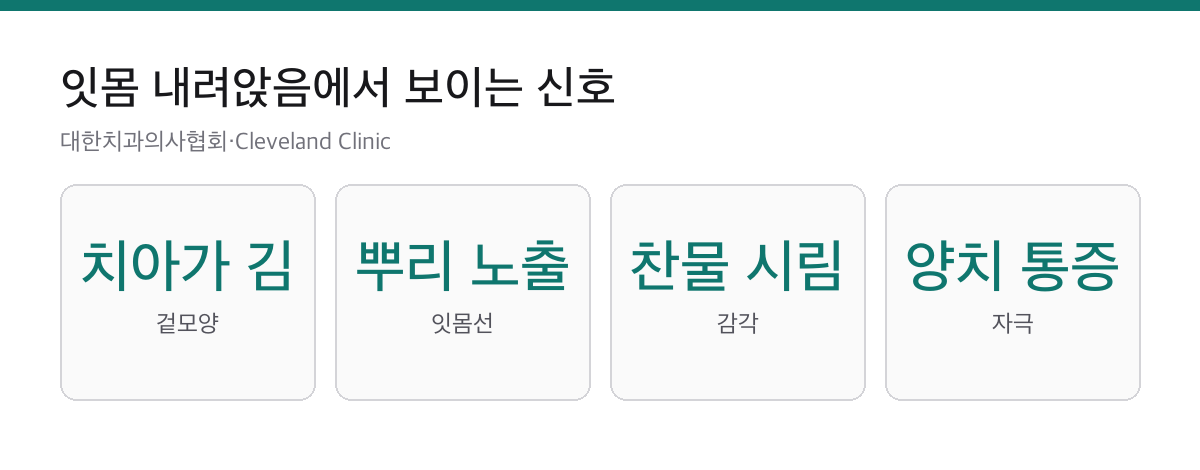 잇몸 내려앉음 원인 5가지|드러난 치아 뿌리는 저절로 덮이지 않습니다 2 치아가 길어 보임, 뿌리 노출, 찬물 시림, 양치 통증으로 확인하는 잇몸 내려앉음 신호 카드