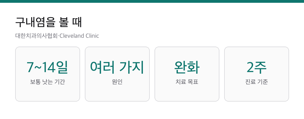 구내염 빨리 낫는 법|보통 1~2주, 2주 넘으면 치과 1 구내염 보통 7에서 14일 회복 원인 여러 가지 증상 완화 2주 넘으면 진료 카드